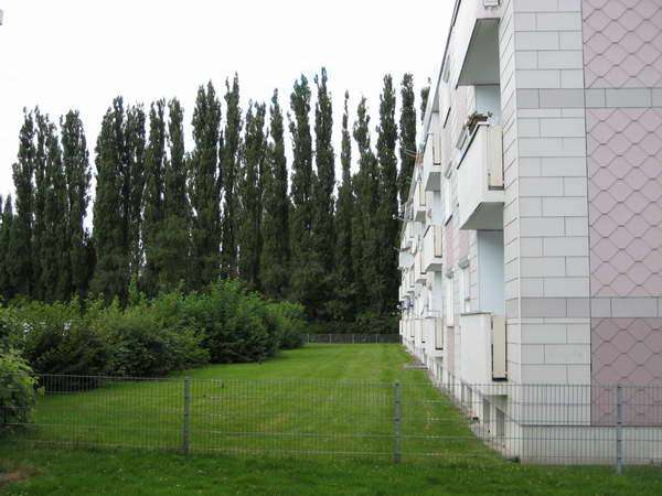 Etagenwohnung Geseke - 4 Zimmer, 90 m&sup2;, 679&euro; | Angebot:27352394