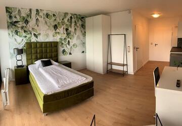 Wohnung Lippstadt Overhagen - 1 Zimmer, 33 m&sup2;, 380&euro; | Angebot:22486852