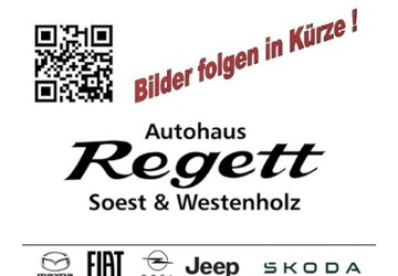 Fiat 500 43.533 km 16.990 &euro; Soest 59494